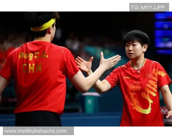 南京排球队心理素质分析与大满贯赛事表现评析