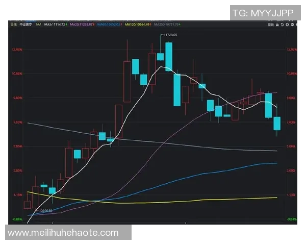 杭州排球队与成都排球队赛后复盘分析比赛节奏与战术对比