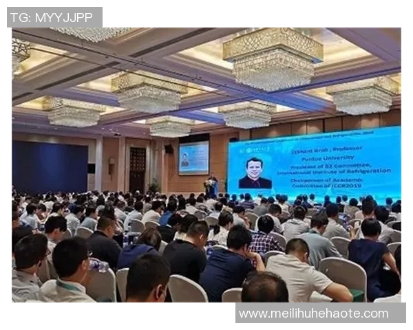 杭州攀岩队技术探讨与训练心得分享助力攀岩运动发展