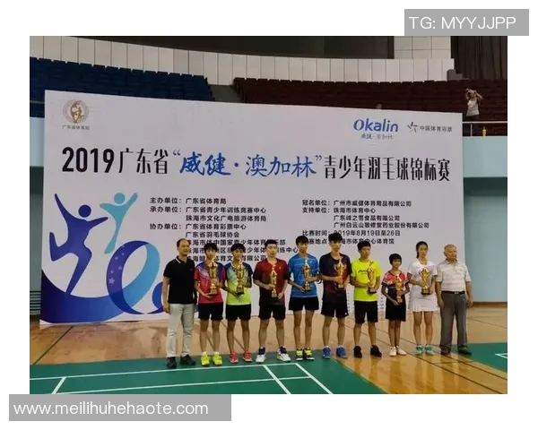 上海羽毛球队个人能力分析与发展策略探讨